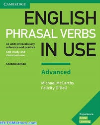 English Phrasal Verbs in use (advanced)